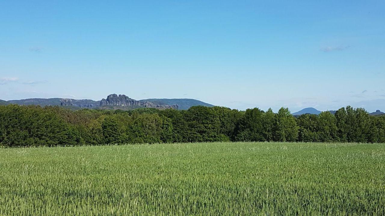 Pension Zaukeneck Bad Schandau Dış mekan fotoğraf
