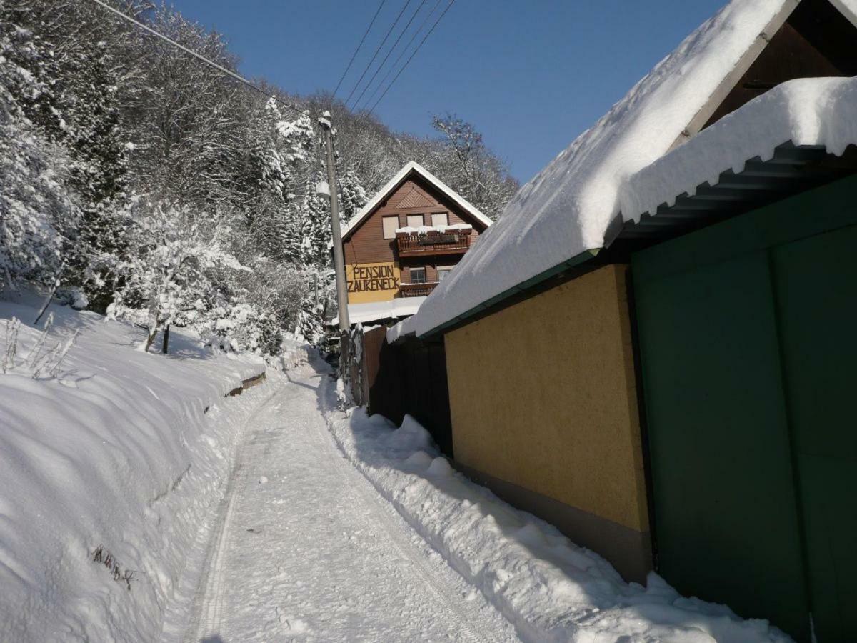 Pension Zaukeneck Bad Schandau Dış mekan fotoğraf